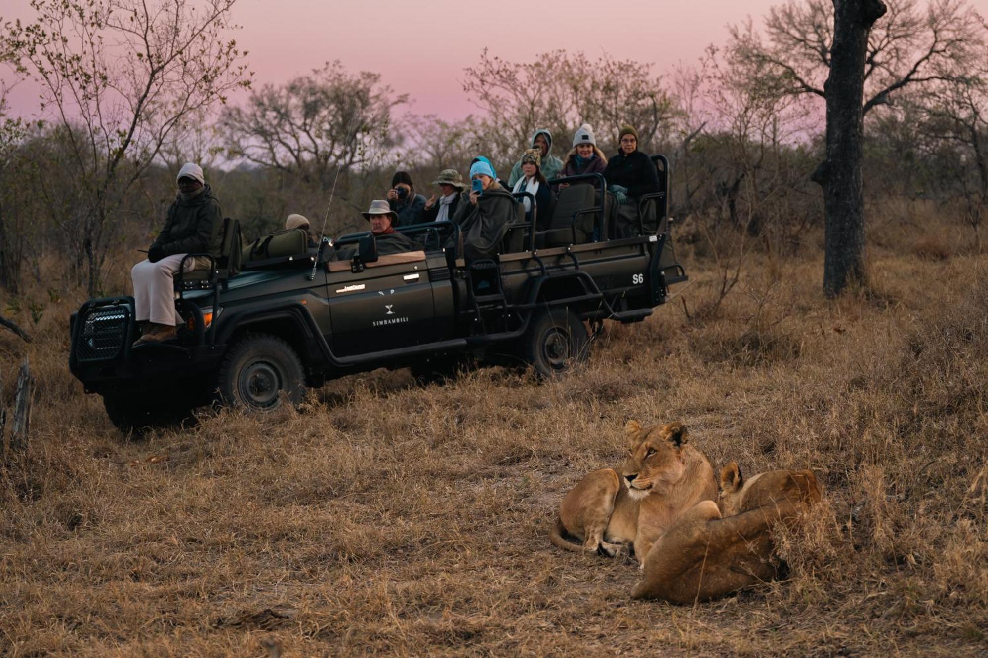 Thornybush Simbambili Lodge Sabi-Sand-Reservat Exterior foto